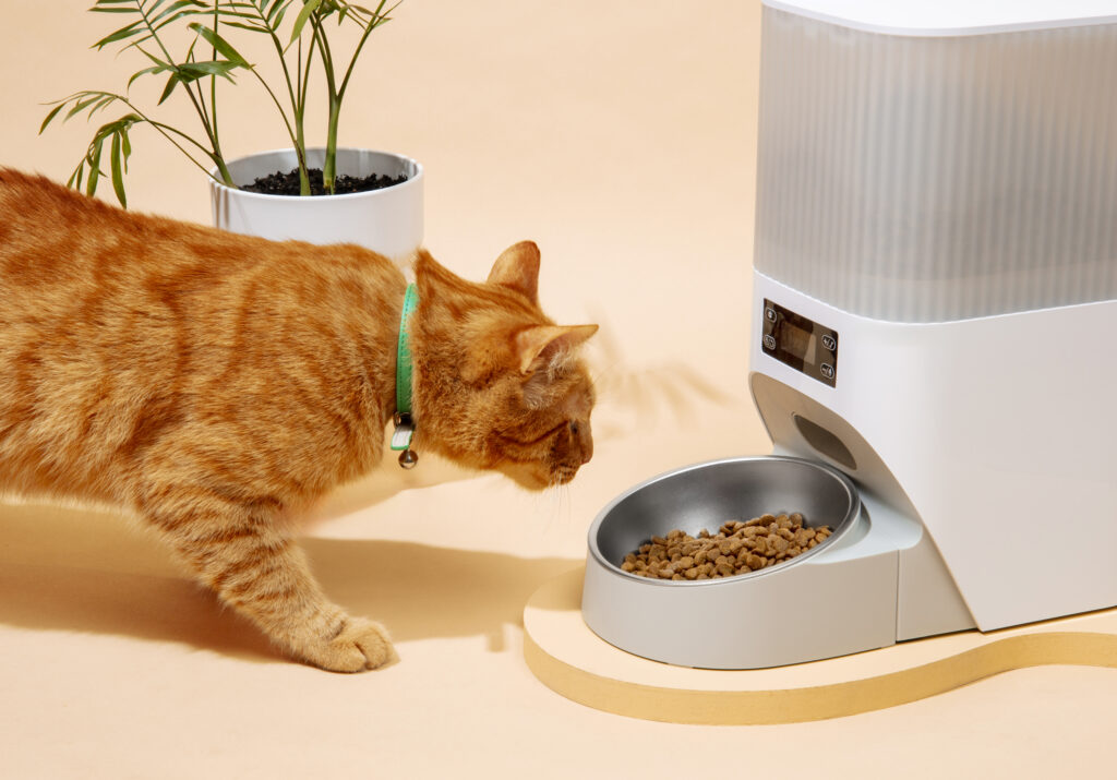 automatic feeder