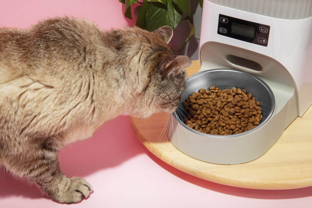 automatic pet feeder cat smart food dispenser